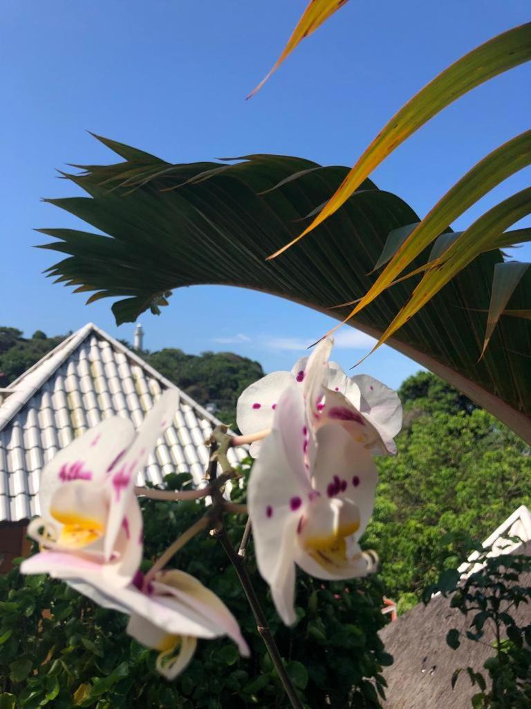 Hotel Morro De Sao Paulo 3* Morro de São Paulo